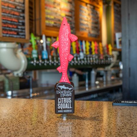 Dogfish Head Citrus Squall tap handle